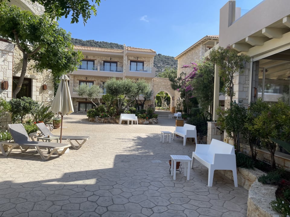 Gartenanlage Cactus Royal