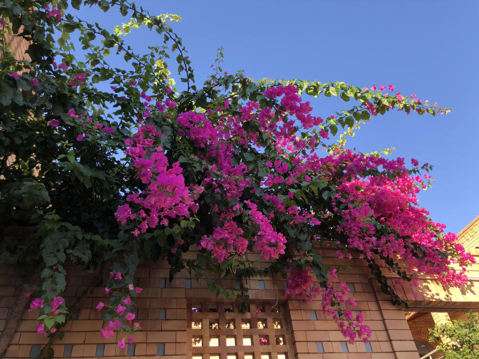 Gastro Bella Beach Hotel