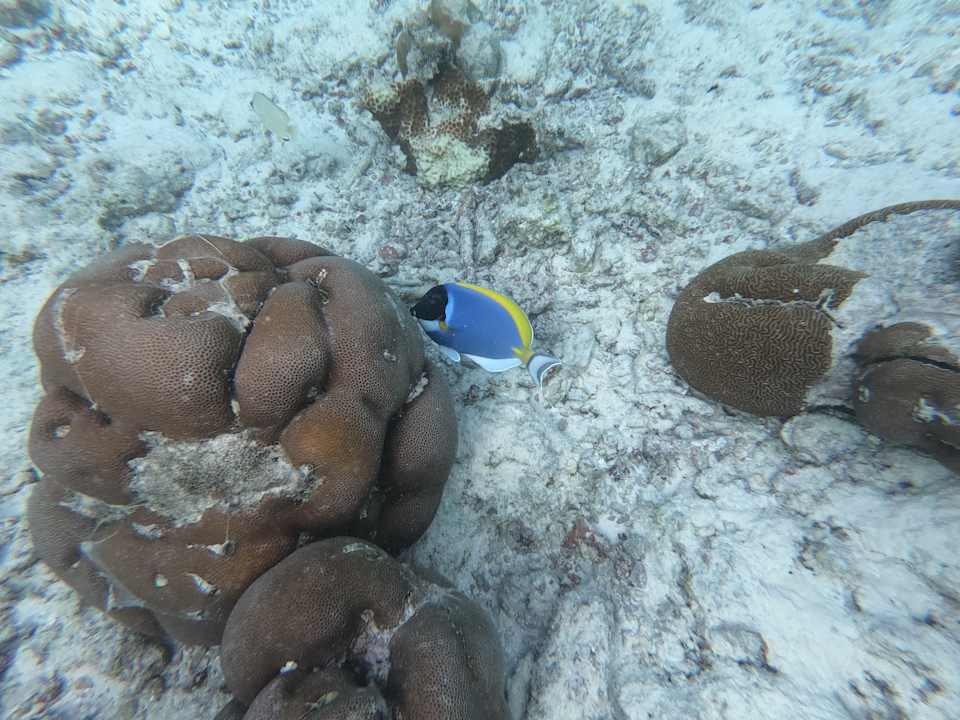 Strand Adaaran Select Meedhupparu Island Resort - Premium All Inclusive