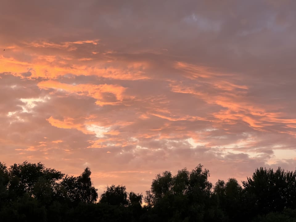 Ausblick Lindner Hotel Boltenhagen, part of JdV by Hyatt