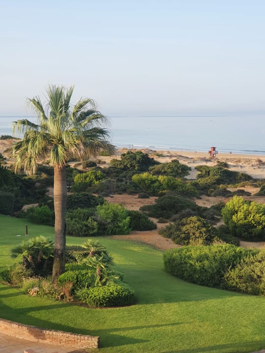 Gartenanlage Iberostar Waves Royal Andalus