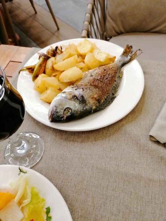 Gastro GRIFID Vistamar