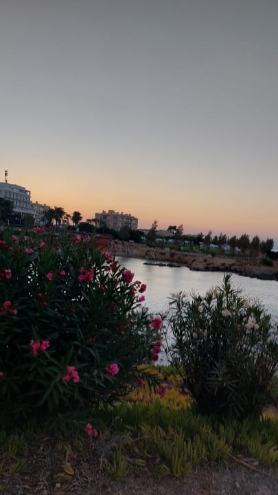 Strand Crystal Springs Beach Hotel