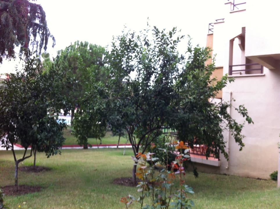 Bungalow  Mira Meridia Beach Hotel