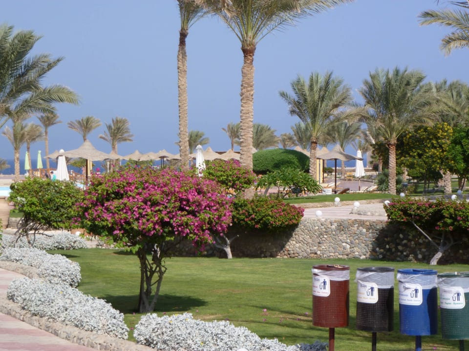 Alles sehr gepflegt Three Corners Sea Beach Resort