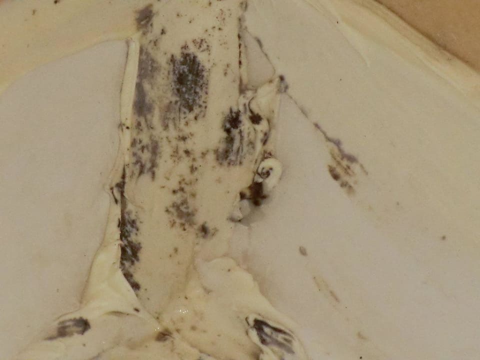 Duschkabine Familienimmer Kleopatra Fatih Hotel