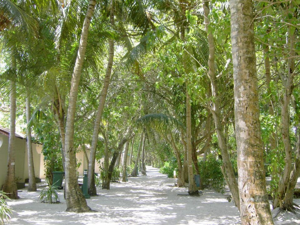 Inselweg Summer Island Maldives