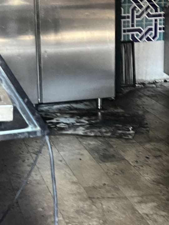 Gastro Crystal Aura Aqua Collection