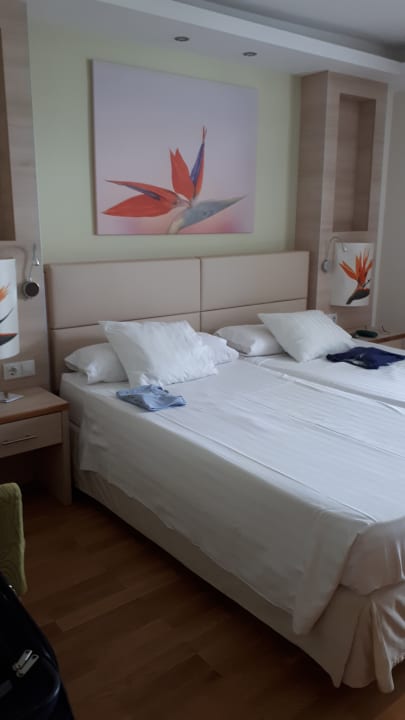 Zimmer Bull Costa Canaria & Spa - Adults only