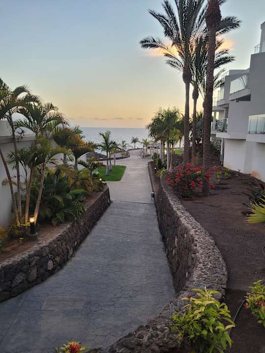 Gartenanlage Hotel Riu Buenavista
