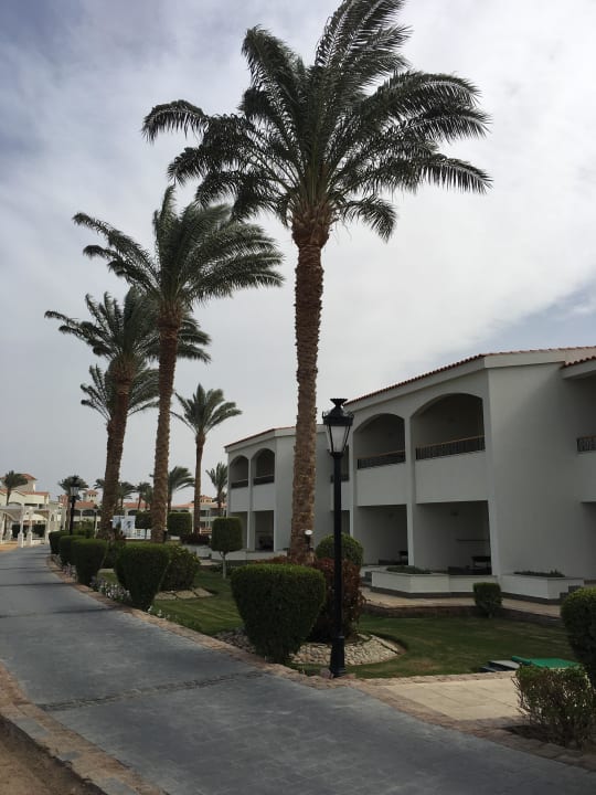 Strand Pickalbatros Dana Beach Resort - Hurghada