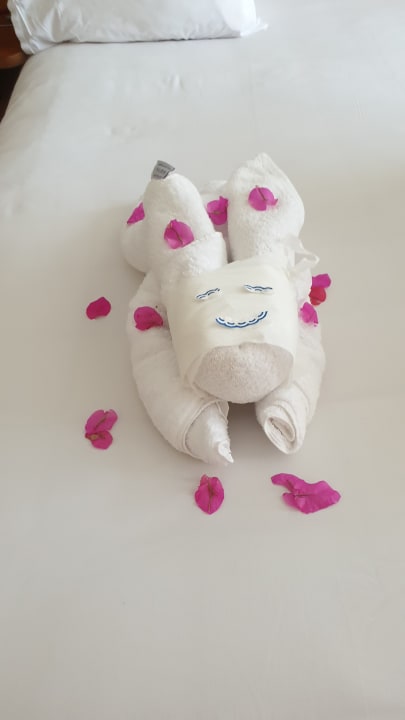 Zimmer Stella Garden Resort & Spa, Makadi Bay