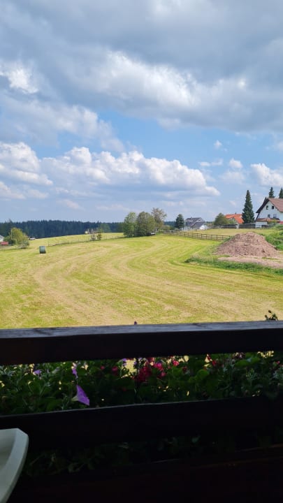 Ausblick Landpension Pferdekoppel