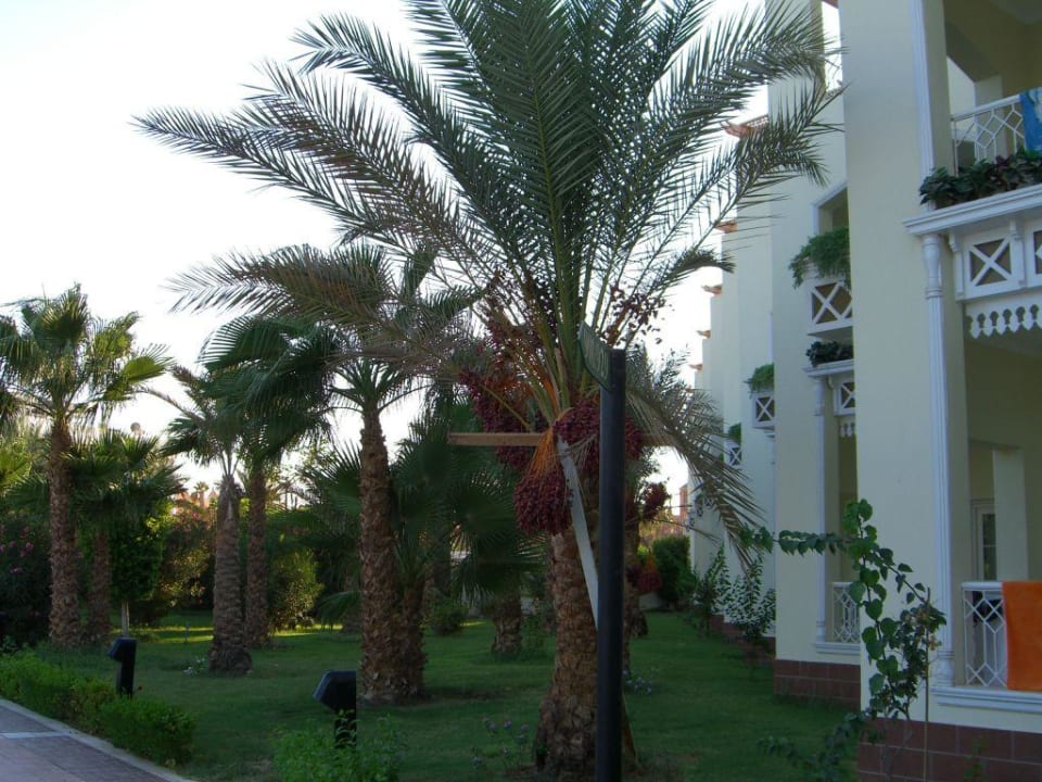 Block mit Deluxe-Zimmern The Grand Hotel Hurghada