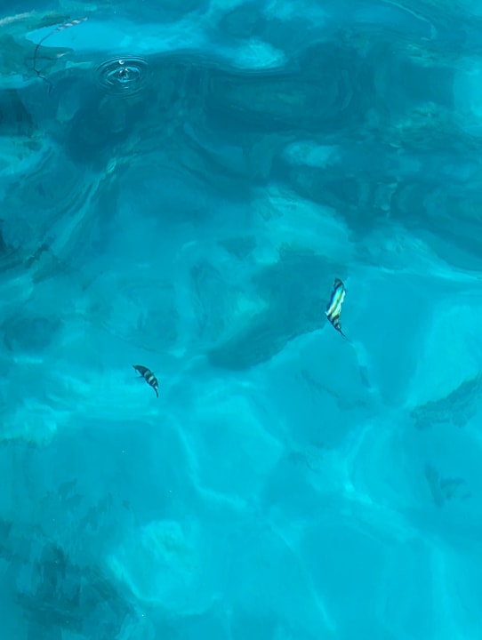 Strand Golden Beach Resort