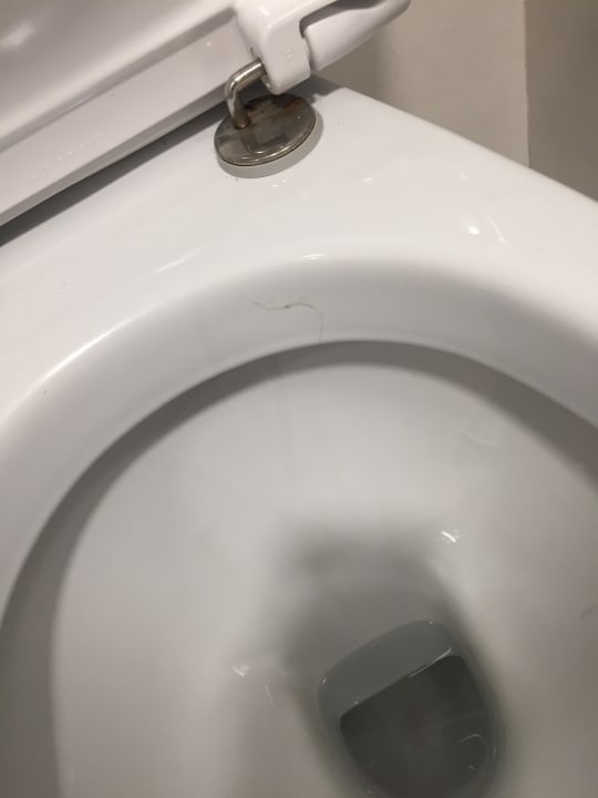 Zimmer Alcudia Garden Aparthotel