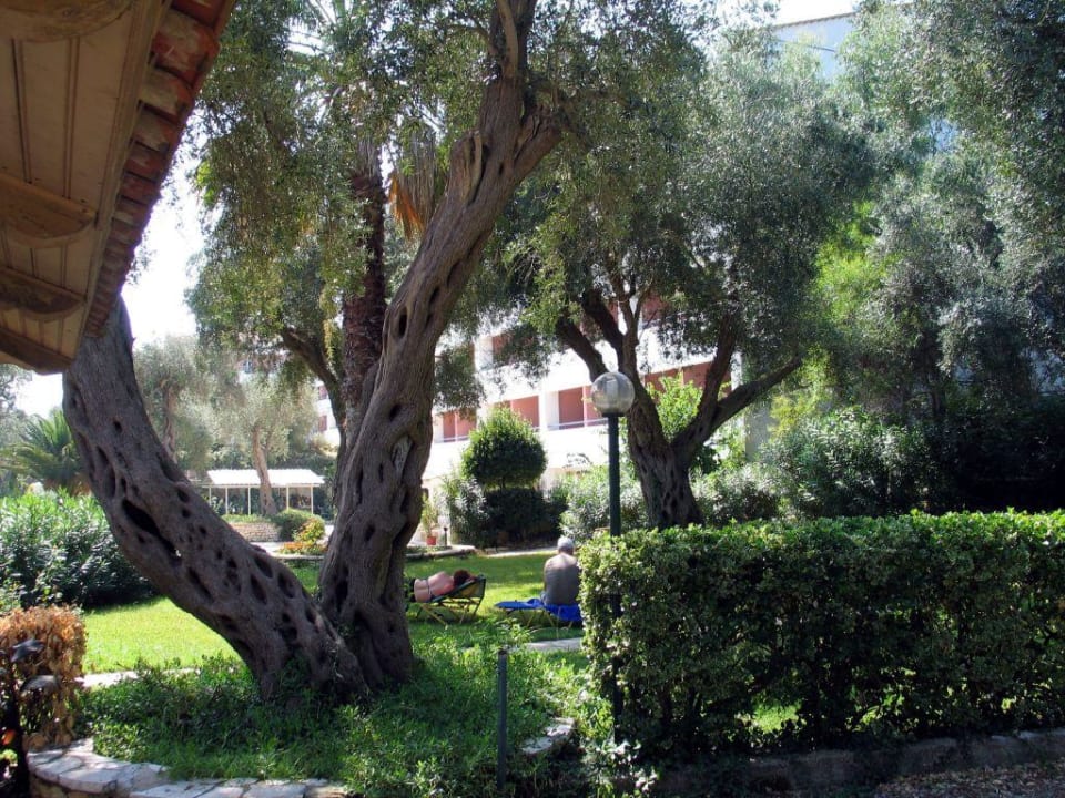 Elea Beach - Garten Elea Beach Hotel