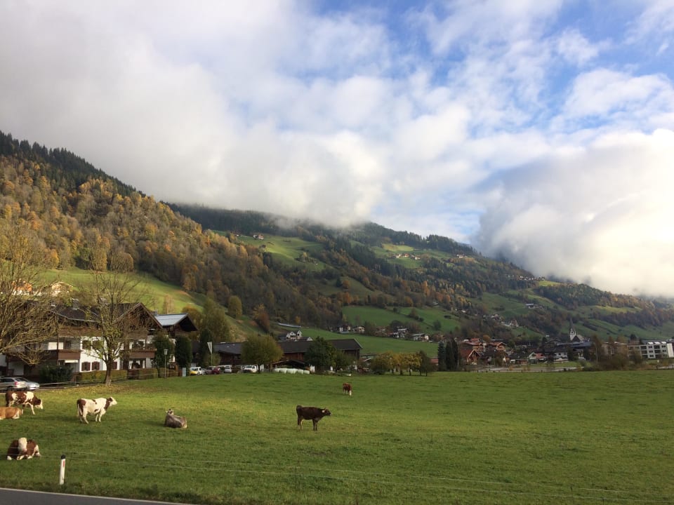 Ausblick vom Hotelzimmer Hotel Wolkensteinbär