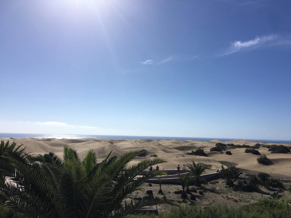 Aussicht Hotel Riu Palace Maspalomas Adults Only