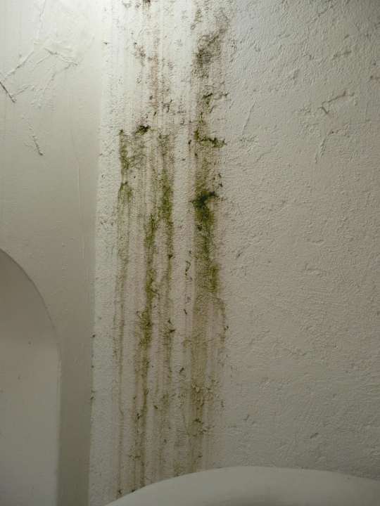 Pilz an den Aussenwänden BelleVue Dominican Bay