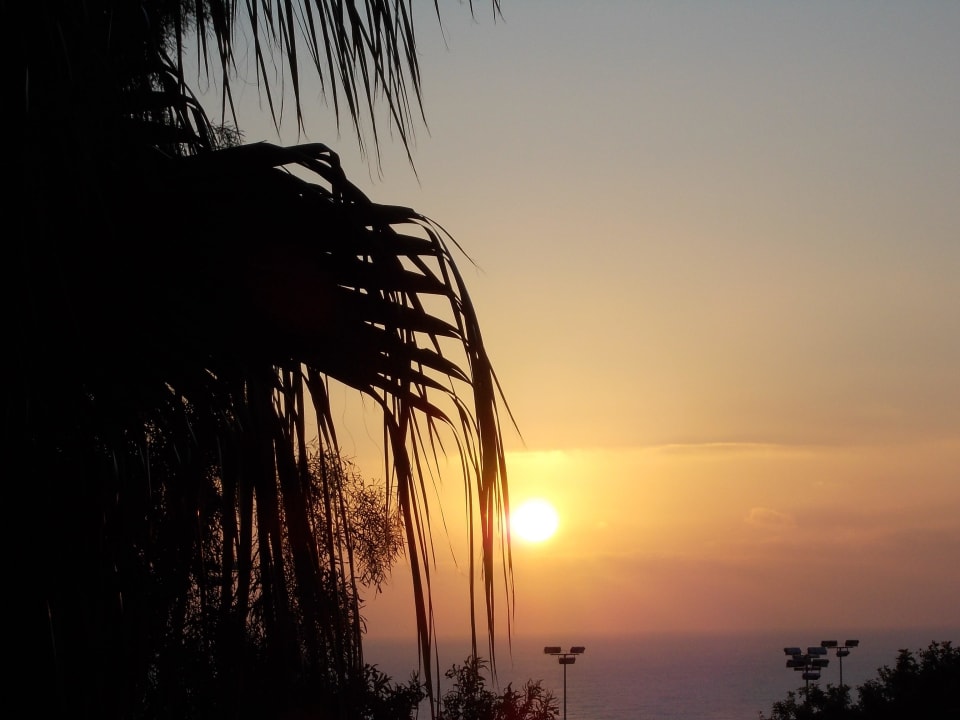 Sonnenaufgang Zimmer 324 allsun App.-Hotel Esquinzo Beach