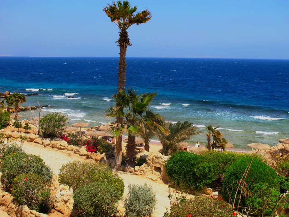 Цитадель азур Pickalbatros Citadel Resort