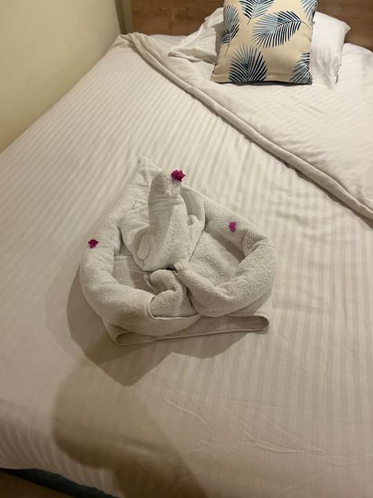 Zimmer Jasmine Palace Resort & Spa