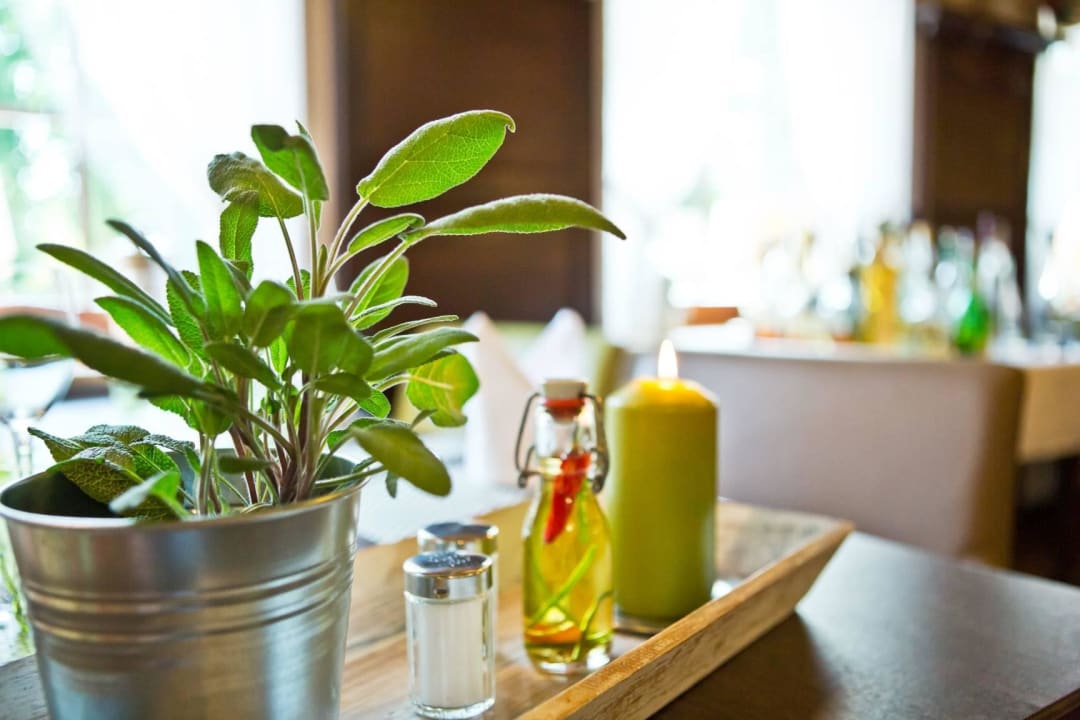 Kräuter - wild & wunderbar Bergers