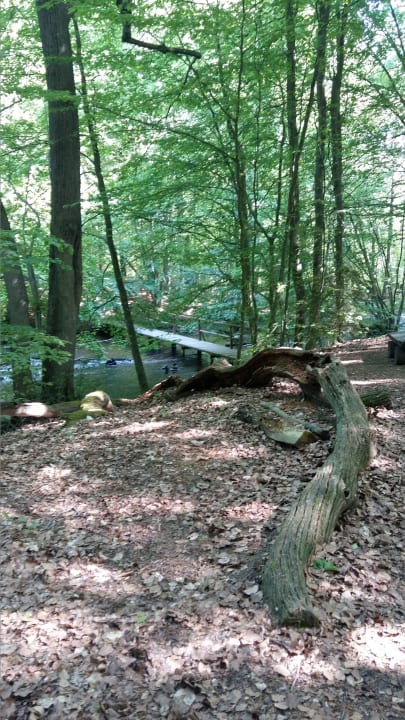 Außenansicht Dat Waldhus