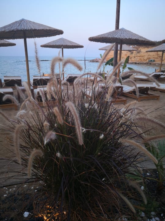 Strand Alexandra Beach Resort & Spa