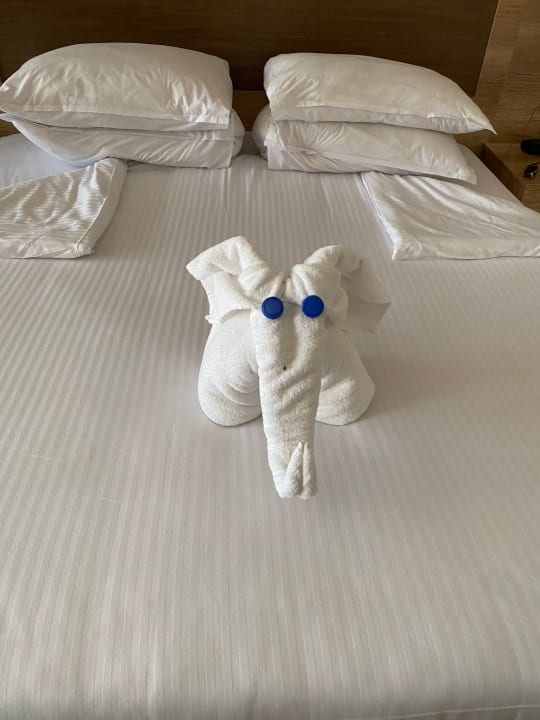 Zimmer Steigenberger Resort Ras Soma