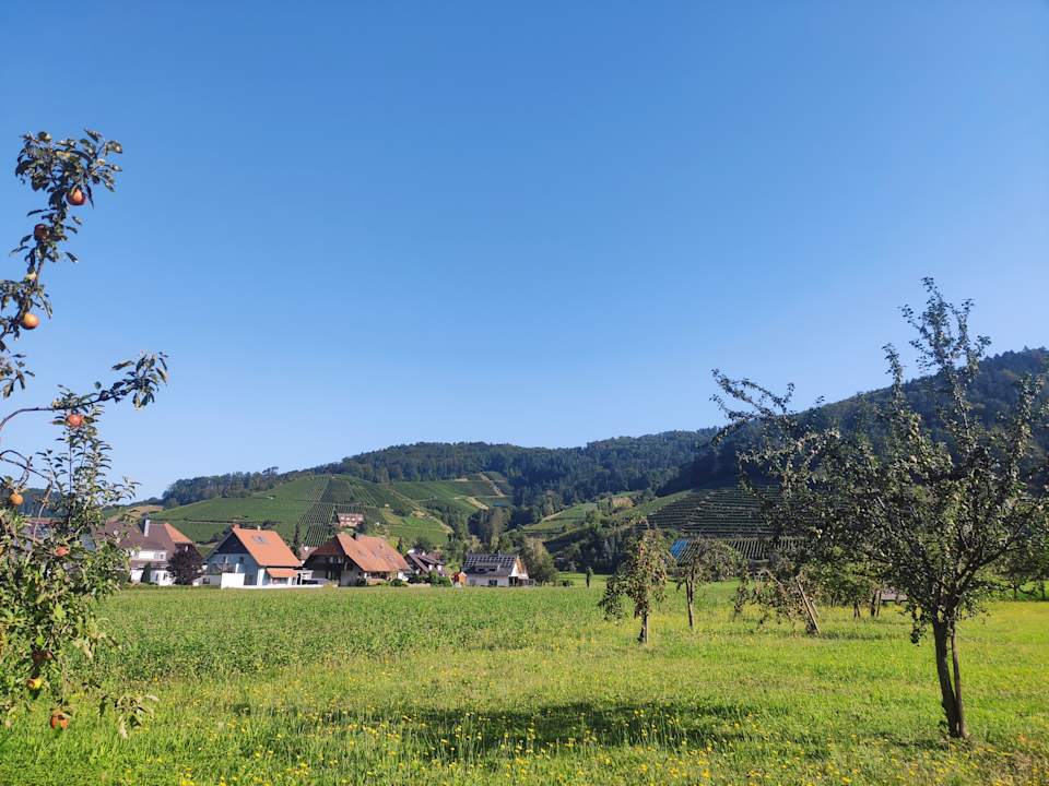 Ausblick Hotel Schwarzenberg