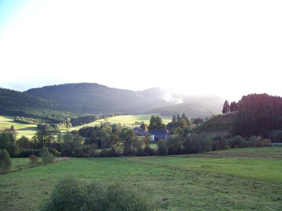 Ausblick vom Balkon Hotel Landgasthof Bergblick