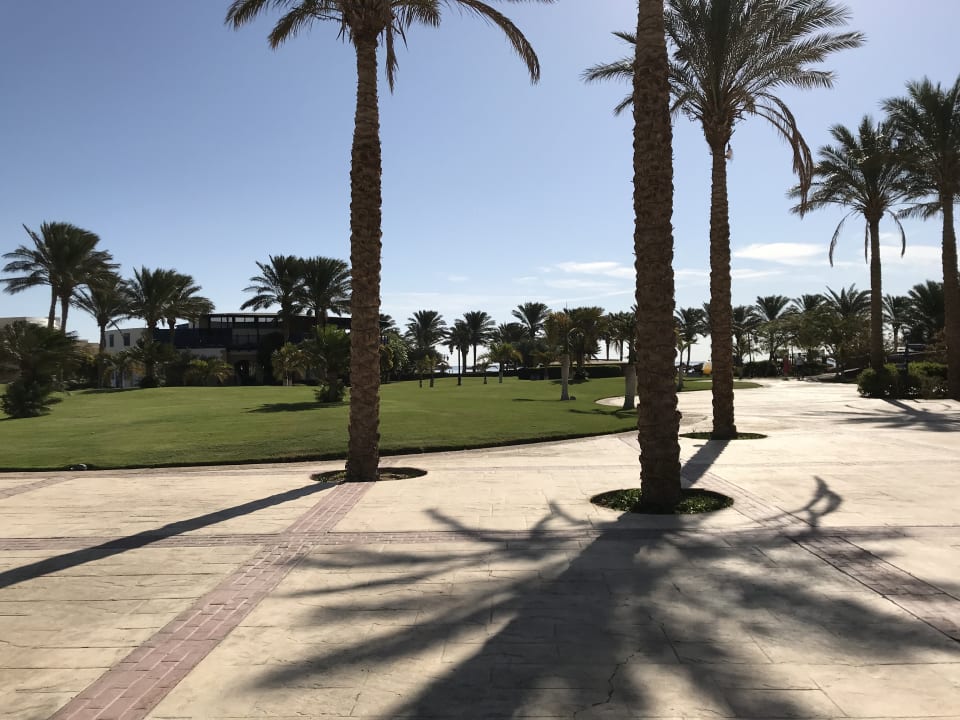 Gartenanlage Palm Royale Resort - Soma Bay