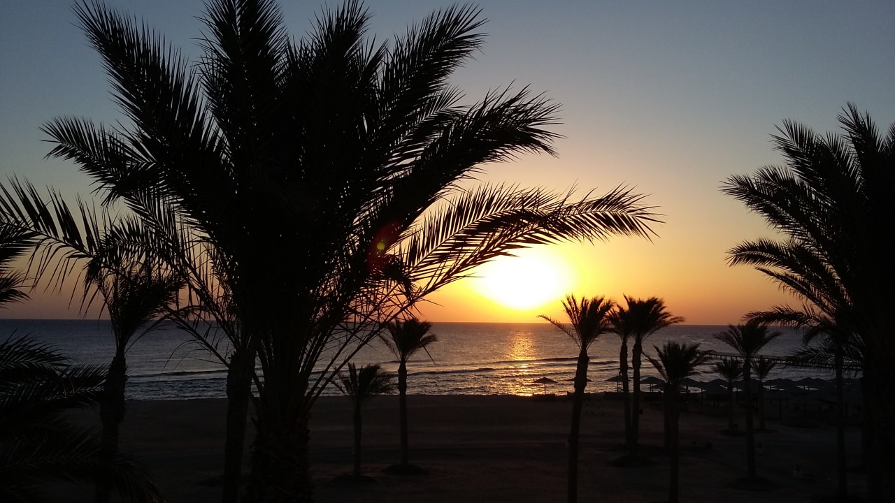 Ausblick Pickalbatros Sands Hotel - Port Ghalib