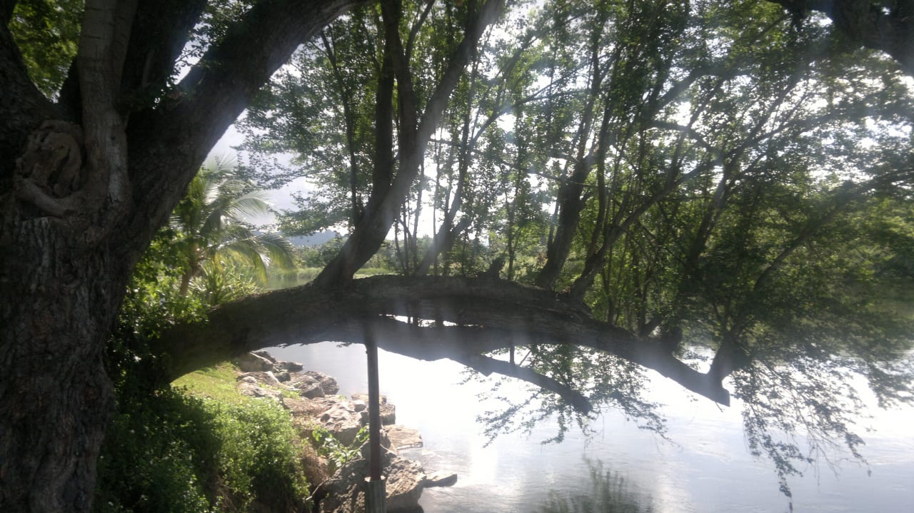 River Kwai Hotel Felix River Kwai