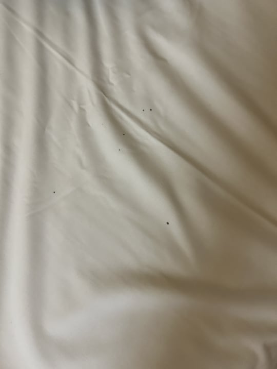 Zimmer MLL Palma Bay Club Resort