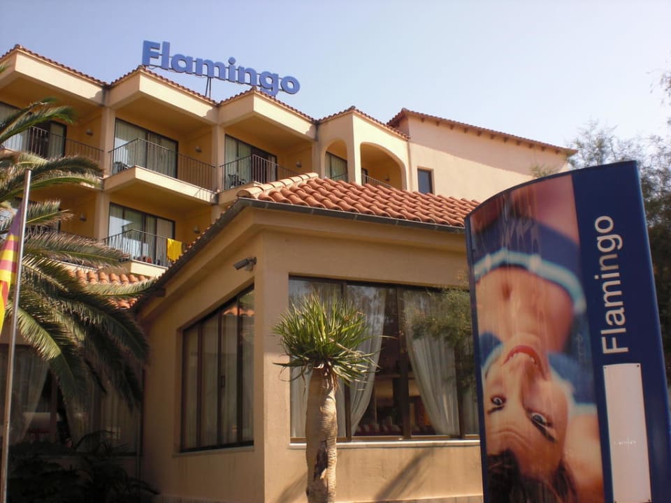 Hoteleingang Myseahouse Flamingo - Adults only