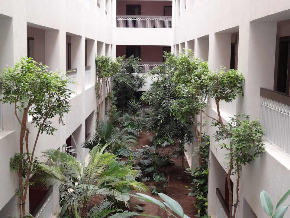 Ogród wewnątrz hotelu Hotel Rosa Beach