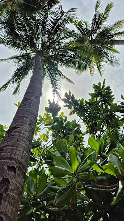 Gartenanlage Graceland Khao Lak Beach Resort