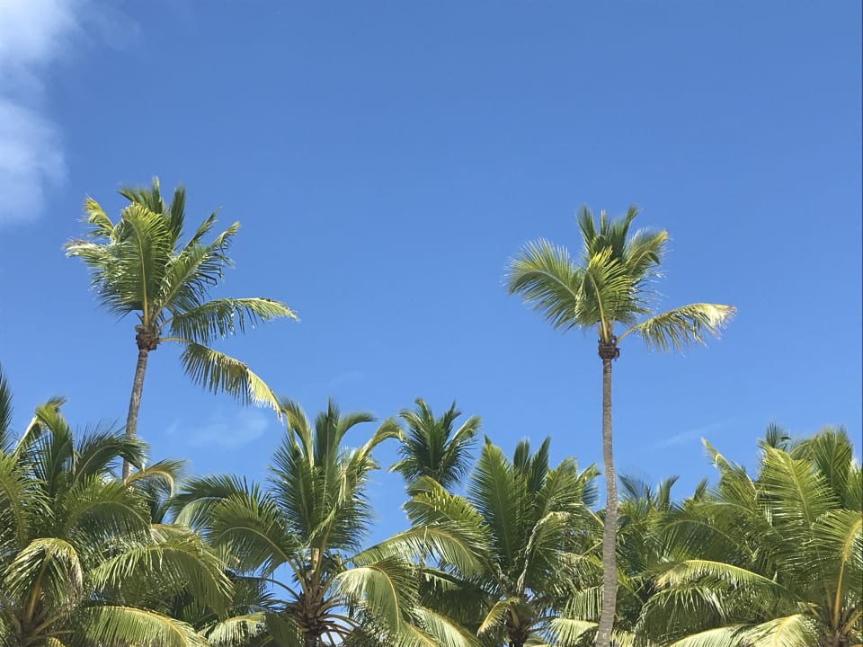 Außenansicht Ocean Blue & Sand