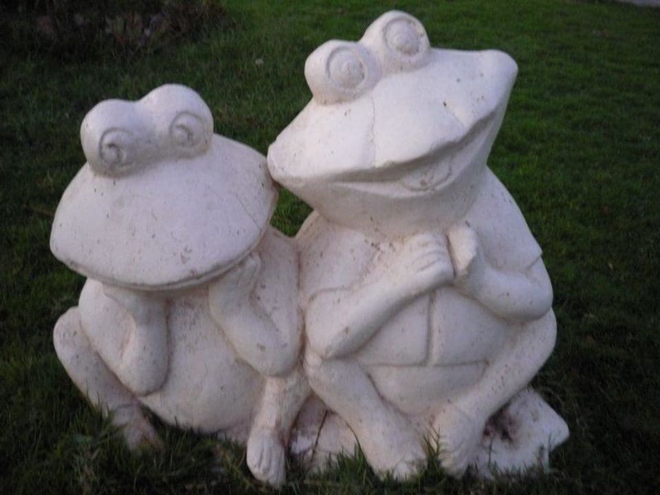 Żaby Sentido Caribbean World Soma Bay