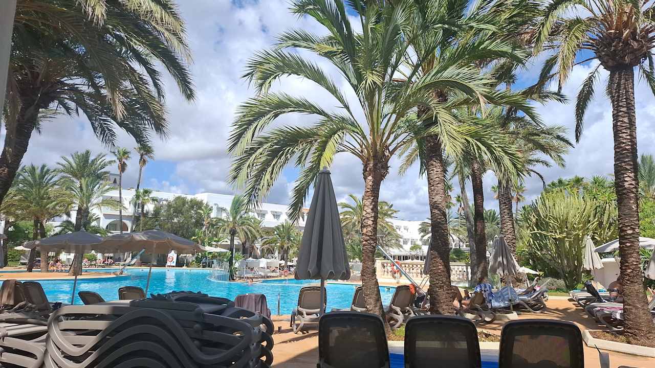 Pool Calimera Fido Gardens