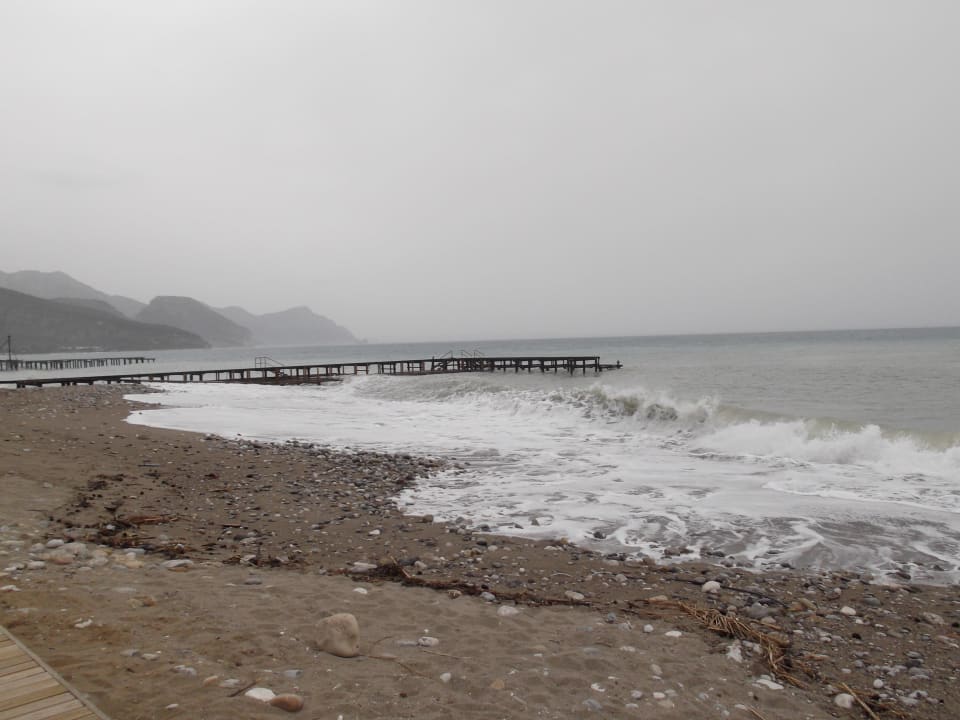Stärkerer Seegang Balmy Foresta