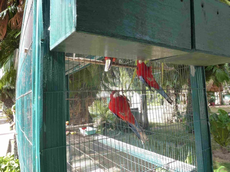 Santa Clara Hotel Los Caneyes