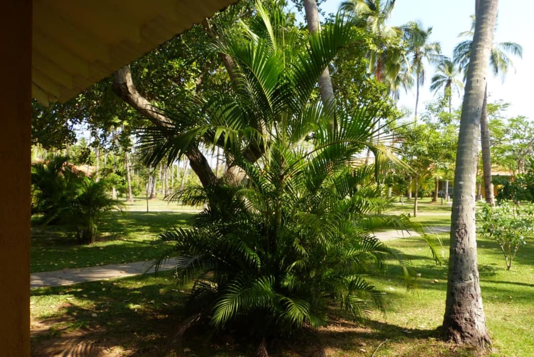 Widok z tarasu Club Palm Bay