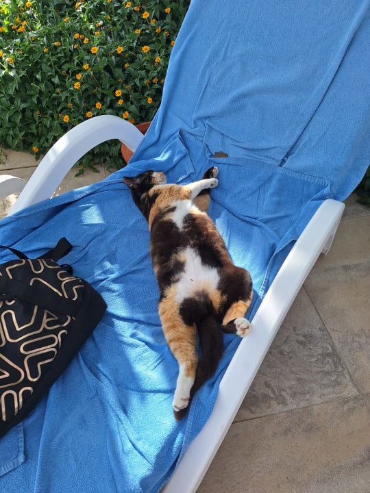 Sonstiges Sunis Evren Beach Resort Hotel & Spa