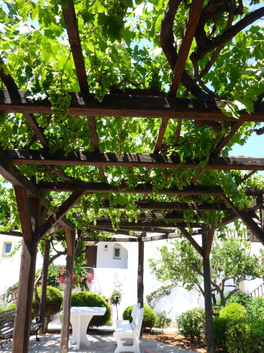 Innenhof Alexander Beach Hotel & Village Resort