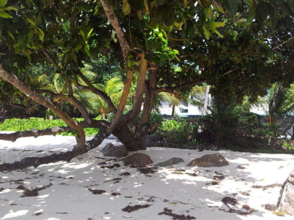 Strand Hotel Moonlight Beach Villa