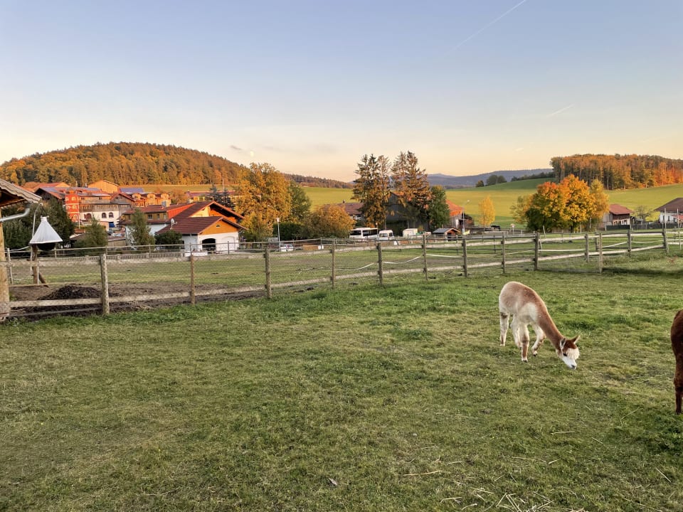 Ausblick Familotel Der Böhmerwald - Euer Familienhotel im Bayerischen Wald